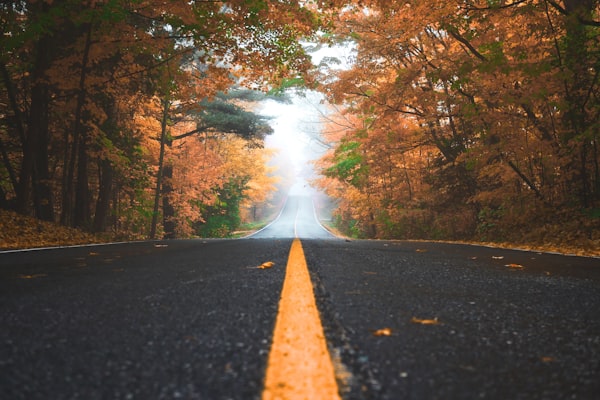 孤独雨景表达伤感情感