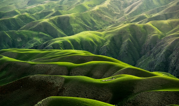 清新自然风景图，展示宁静山林
