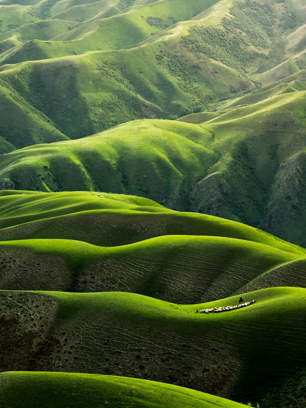 诗意网名灵感：自然风景