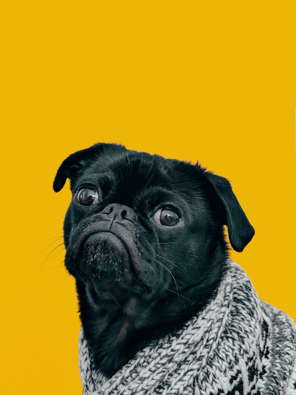 孤独的人看向远方