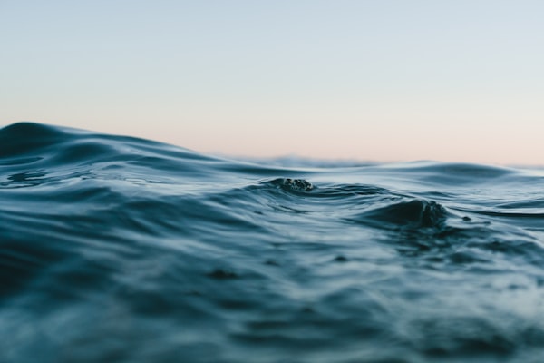 海洋生物多样性